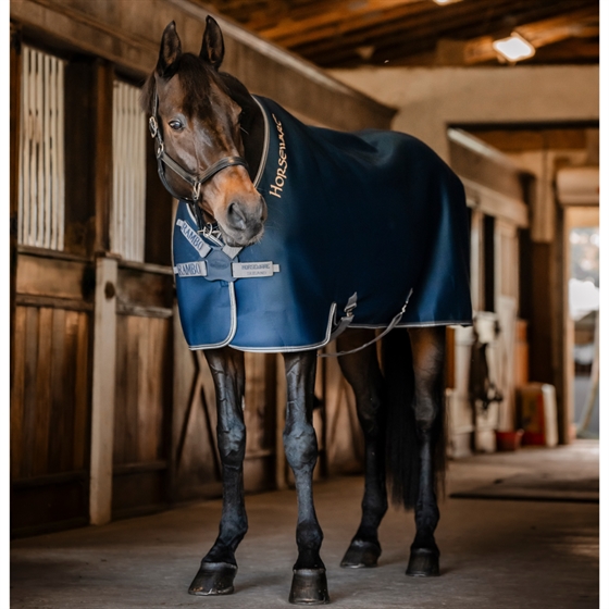 Horseware Rambo Airmax täcke skiva fram 