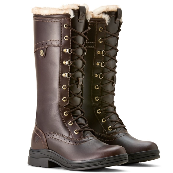 Ariat Wythburn II H20 Dam Dark Mocca