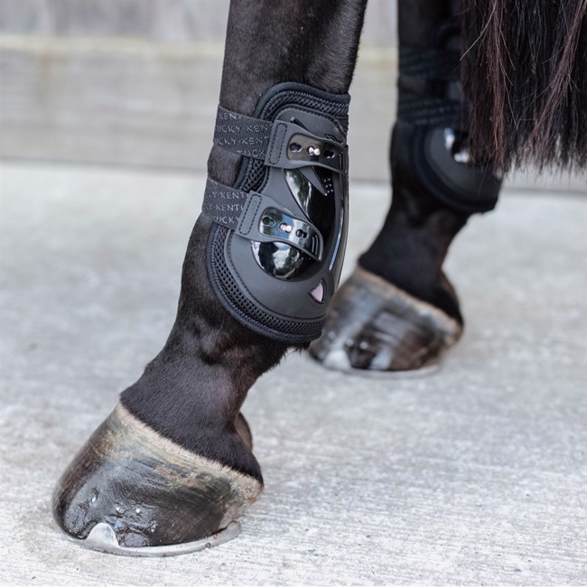 Kentucky Hind Leg Damasker Moonboots Air X