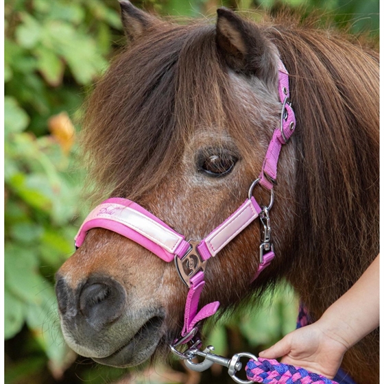 Harry\'s Horse grimmaset Diva Violet