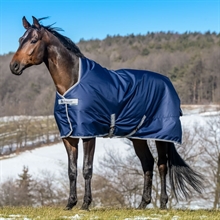 Bucas Freedom Turnout High Neck övergångstäcke 150 gram