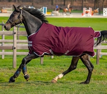 Horseware Amigo Hero Ripstop regntäcke Lite 0 gram