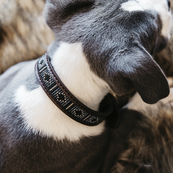 Kentucky hundhalsband handgjorda pärlor