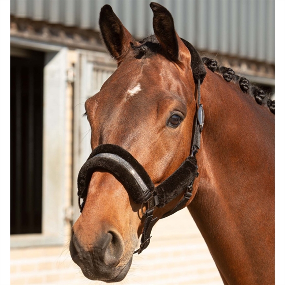 Harry\'s Horse grimsæt Denici Cavalli Stardust